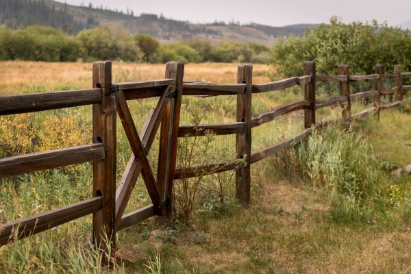Equine Fencing