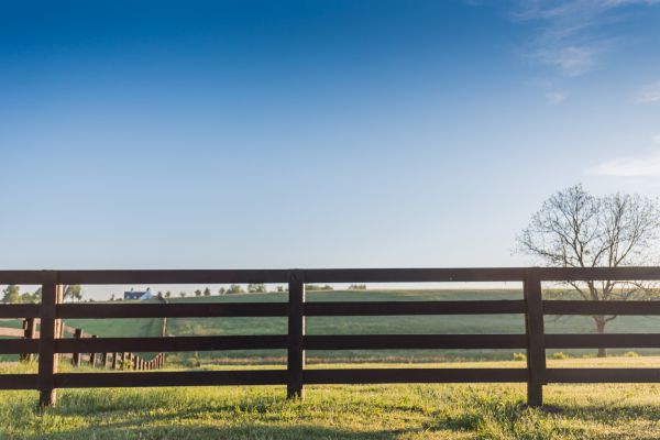 Horse Fencing Installation