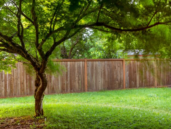 Wooden Board Fence Service